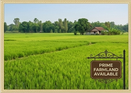 Agricultural & Investment Lands